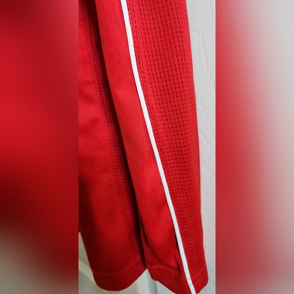 Puma - Picture 3 of 8